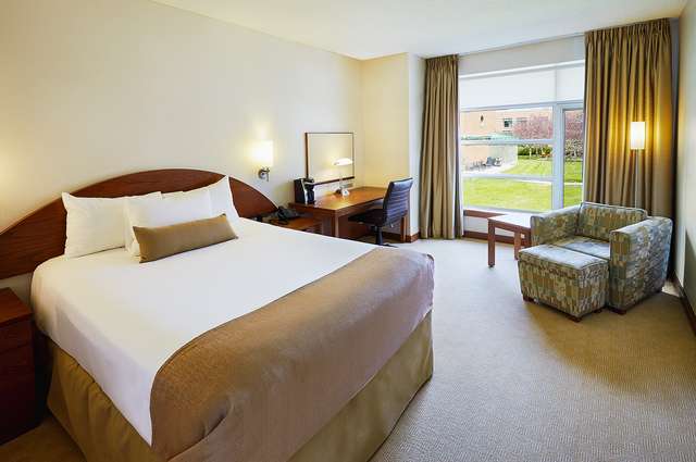 2023_CACEE_National_Conference/BMO_IFL_Guestroom.jpg